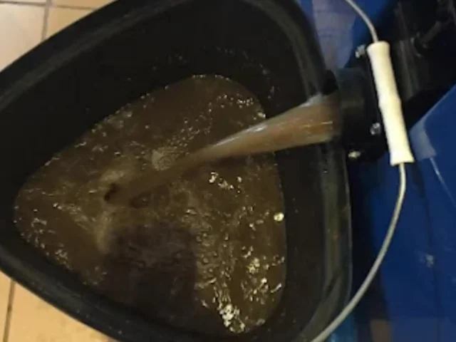 Dirty water extracted from a fitted carpet during professional cleaning