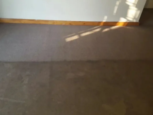 Fitted carpet professionally cleaned in a Cape Town home Fitted carpet professionally cleaned in a Cape Town home