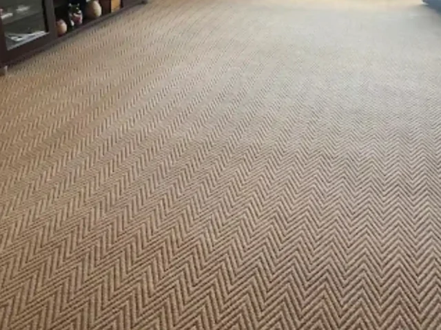 Professional fitted carpet cleaning in progress (22)