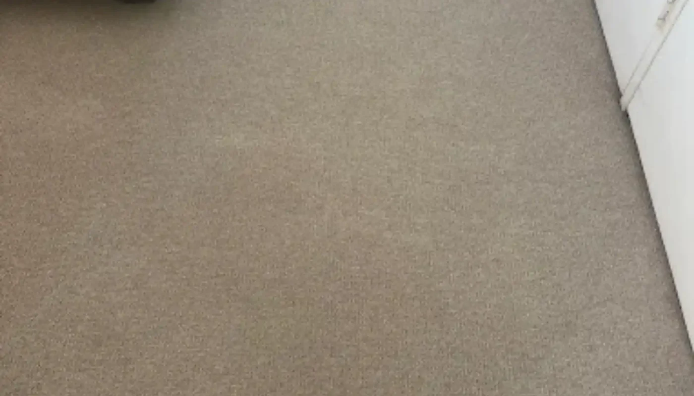 Fitted carpet deep cleaned by a Cape Town carpet cleaner (23)