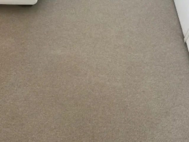 Fitted carpet deep cleaned by a Cape Town carpet cleaner (23)