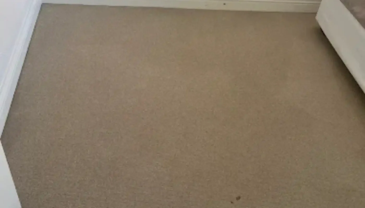 Fitted carpet professionally cleaned in a Cape Town lounge (24)