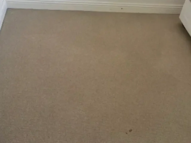 Fitted carpet professionally cleaned in a Cape Town lounge (24)