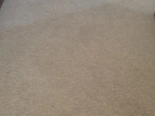 Fitted carpet professionally cleaned in a Cape Town hallway (26)