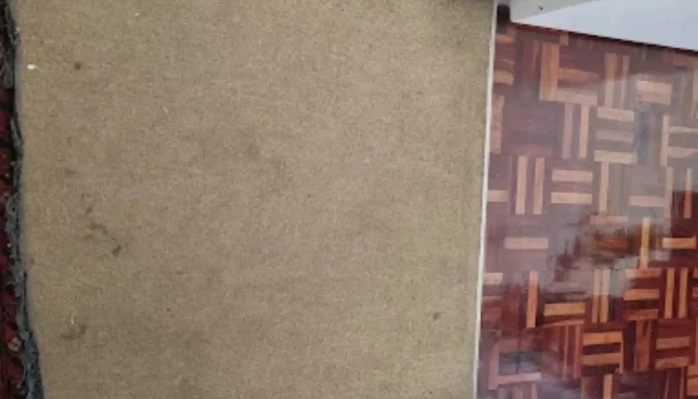 Fitted carpet professionally cleaned in a Cape Town home (27)
