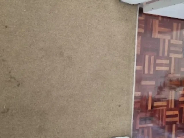 Fitted carpet professionally cleaned in a Cape Town home (27)