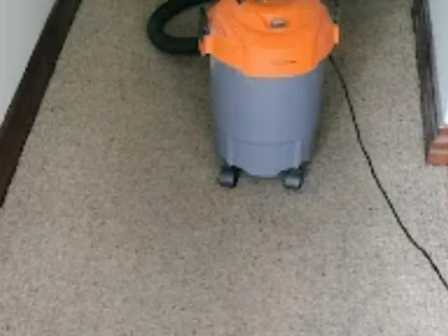Fitted carpet deep cleaned by a Cape Town carpet cleaner (31)