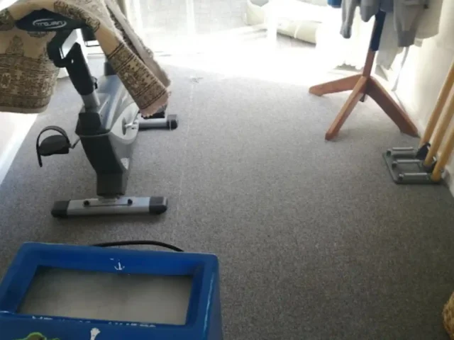 Fitted carpet professionally cleaned in a Cape Town hallway (34)