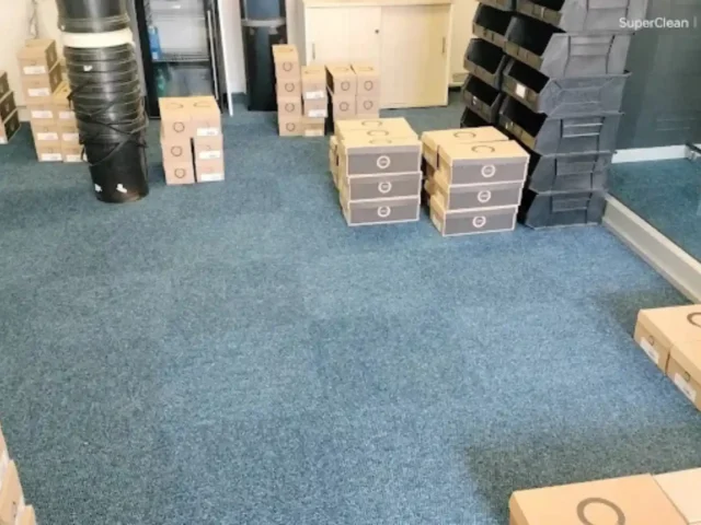 Fitted carpet deep cleaned by a Cape Town carpet cleaner (39)