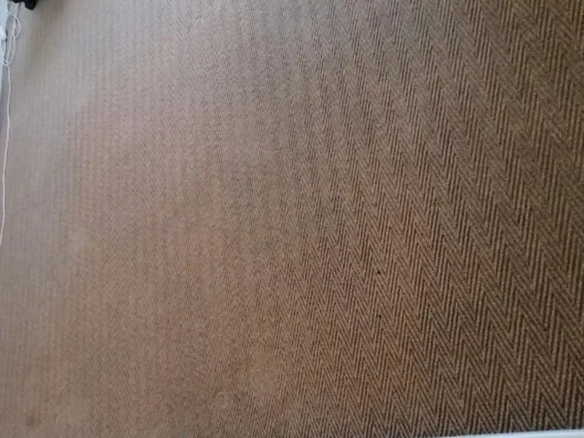 Fitted carpet professionally cleaned in a Cape Town lounge (40)