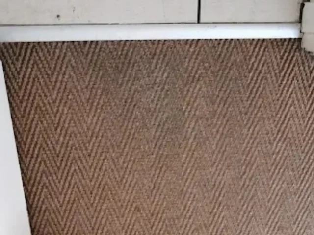 Fitted carpet professionally cleaned in a Cape Town home (43)