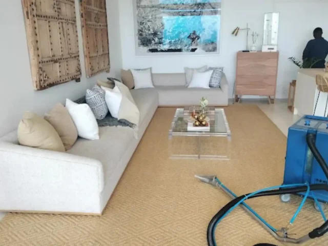 Professional fitted carpet cleaning in progress (46)
