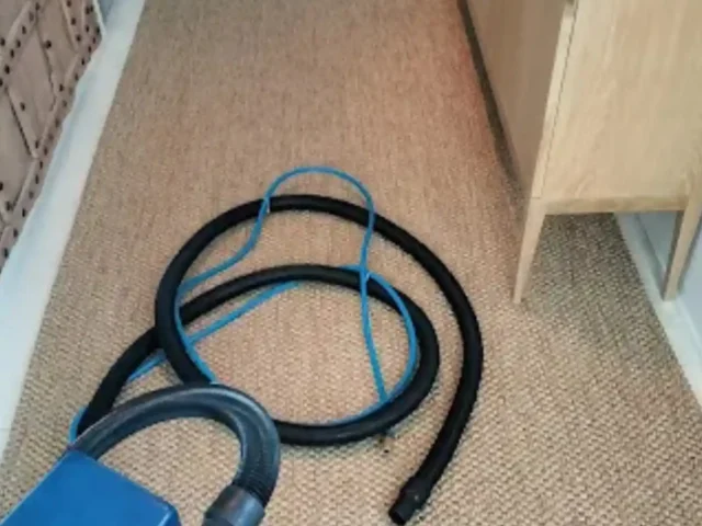 Fitted carpet deep cleaned by a Cape Town carpet cleaner (47)