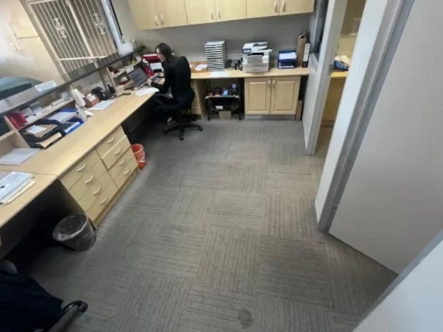 Fitted carpet professionally cleaned in a Cape Town hallway (50)