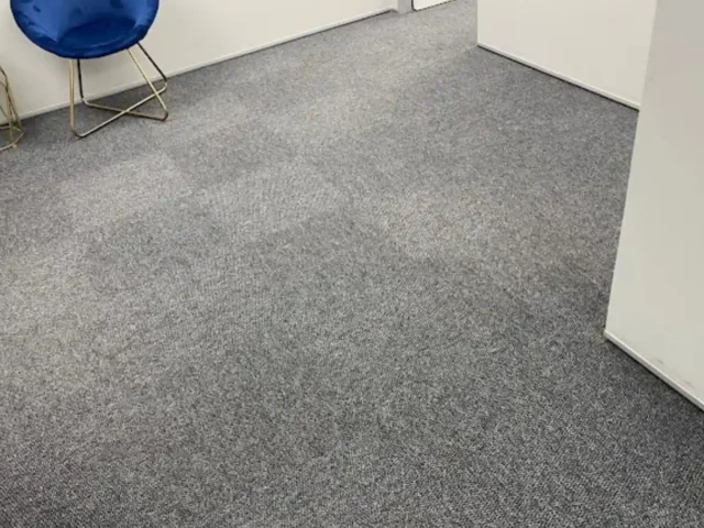 Fitted carpet professionally cleaned in a Cape Town home (51)