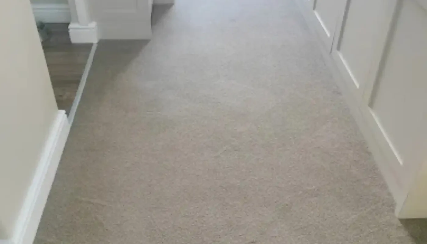 Fitted carpet cleaning result in a Cape Town property (53)