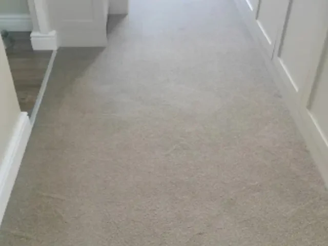 Fitted carpet cleaning result in a Cape Town property (53)