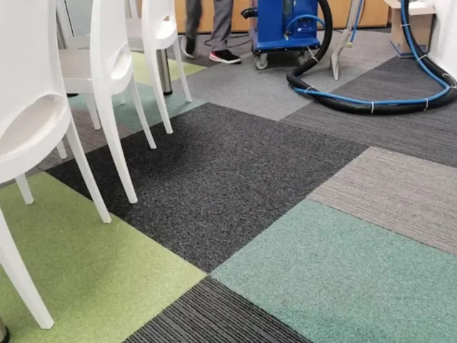 Professional fitted carpet cleaning in progress (54)