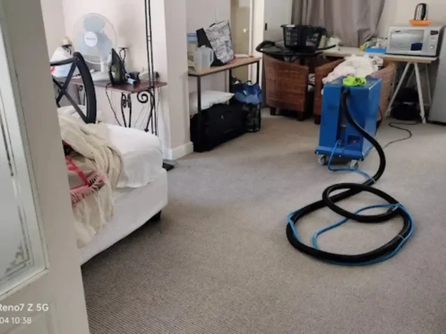 Fitted carpet professionally cleaned in a Cape Town lounge (56)