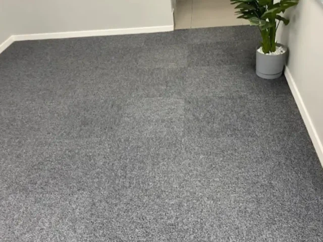 Fitted carpet professionally cleaned in a Cape Town bedroom (57)