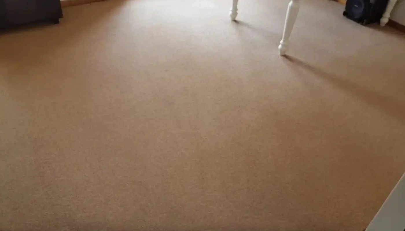 Fitted carpet professionally cleaned in a Cape Town home (59)