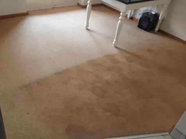 Fitted carpet cleaning result in a Cape Town property (61)
