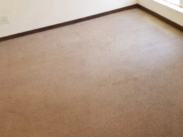 Professional fitted carpet cleaning in progress (62)