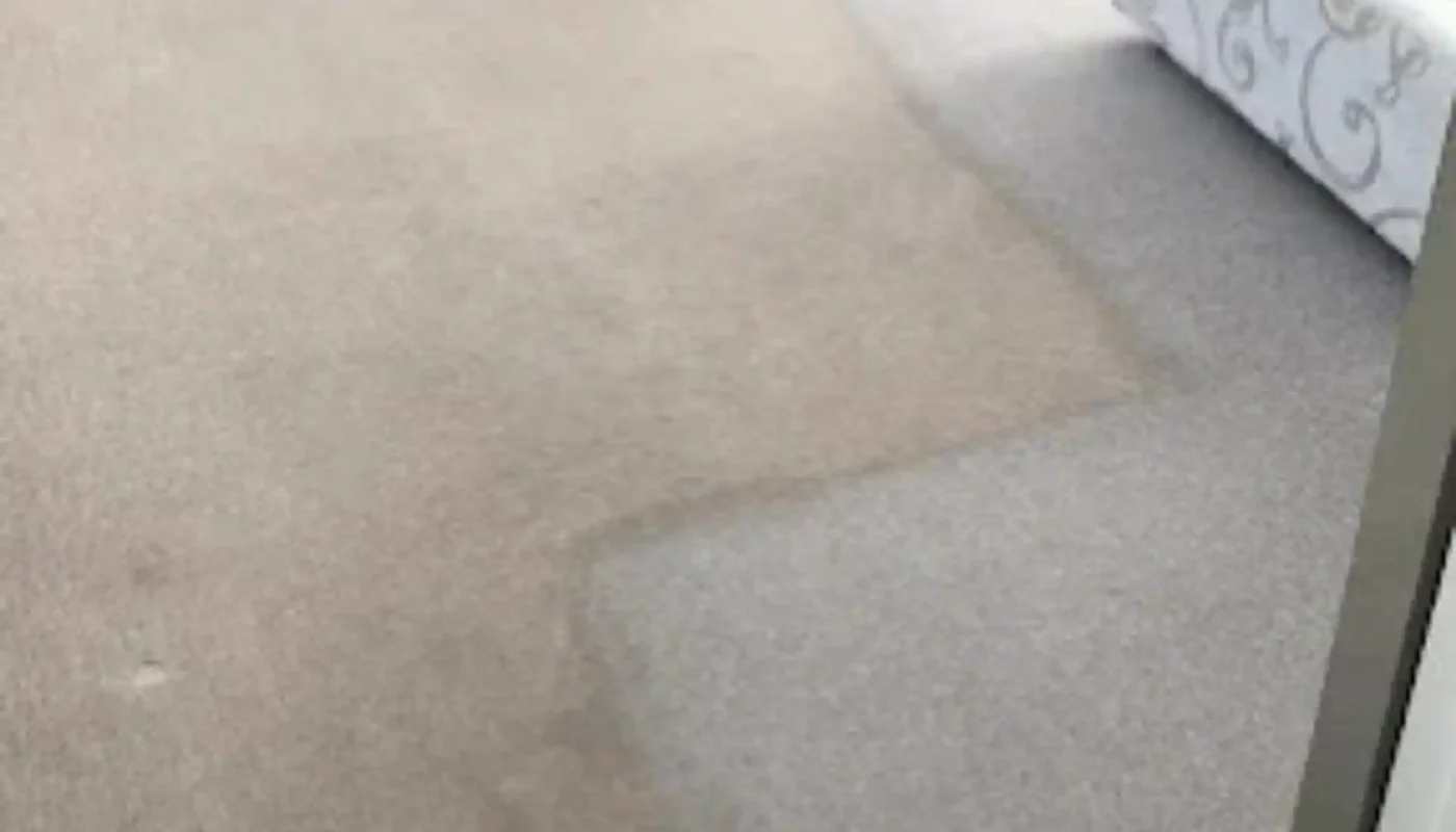 Fitted carpet deep cleaned by a Cape Town carpet cleaner (63)