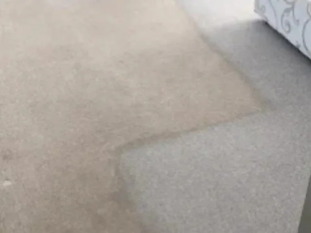 Fitted carpet deep cleaned by a Cape Town carpet cleaner (63)