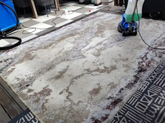 Fitted carpet professionally cleaned in a Cape Town lounge (72)