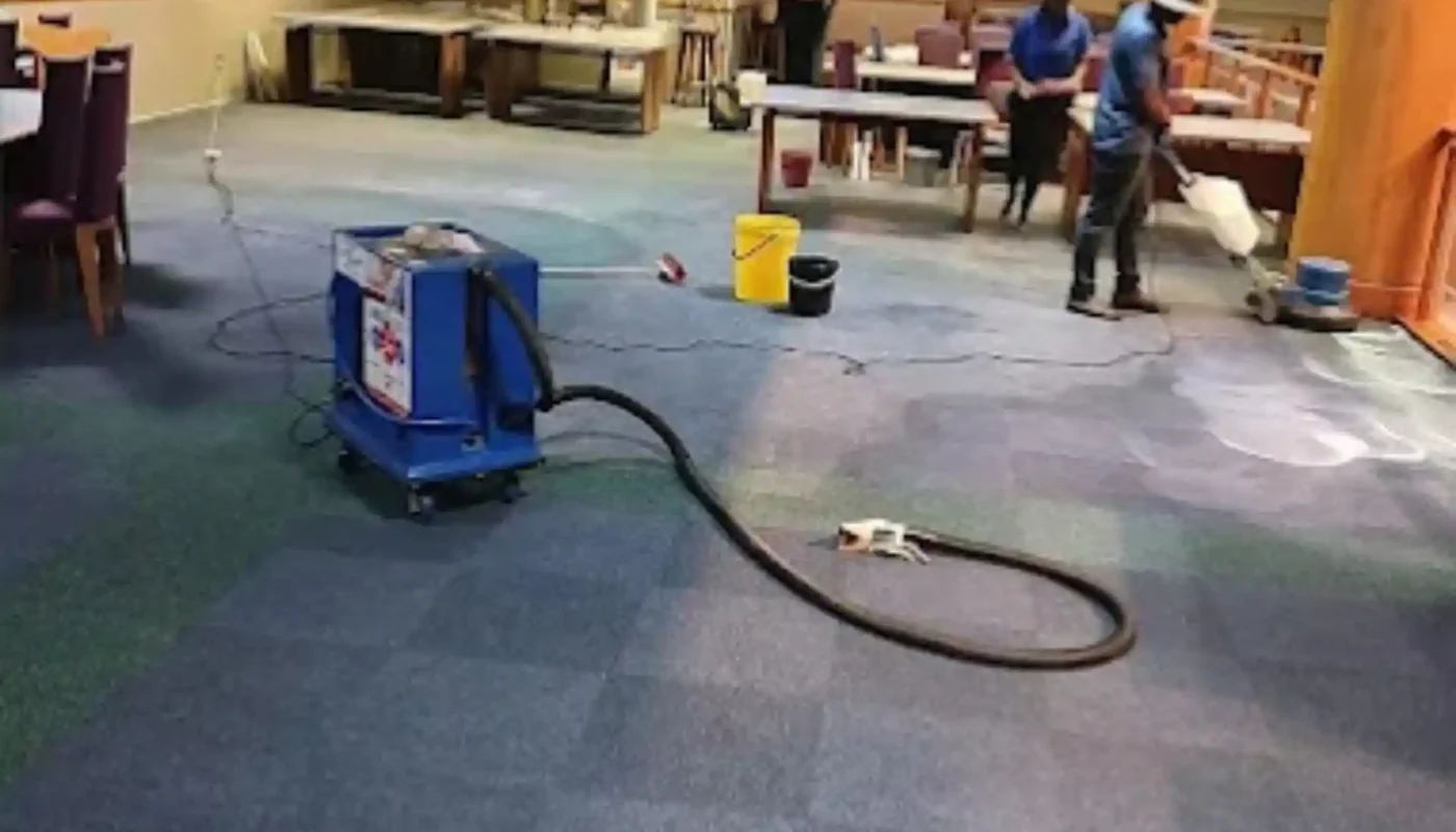 Fitted carpet cleaning result in a Cape Town property (77)