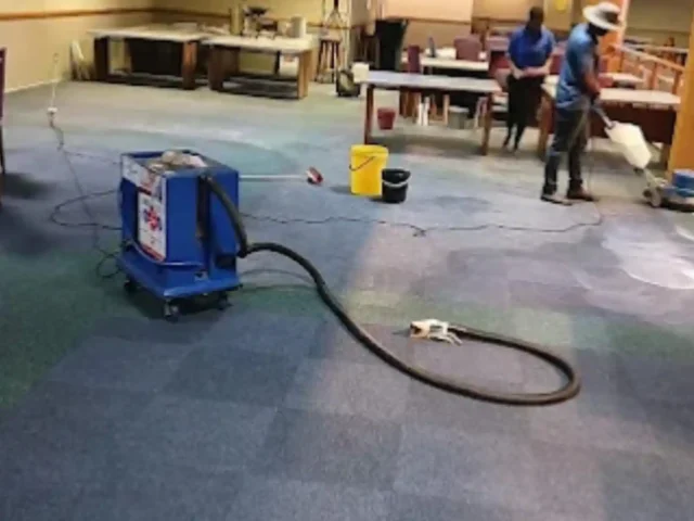 Fitted carpet cleaning result in a Cape Town property (77)