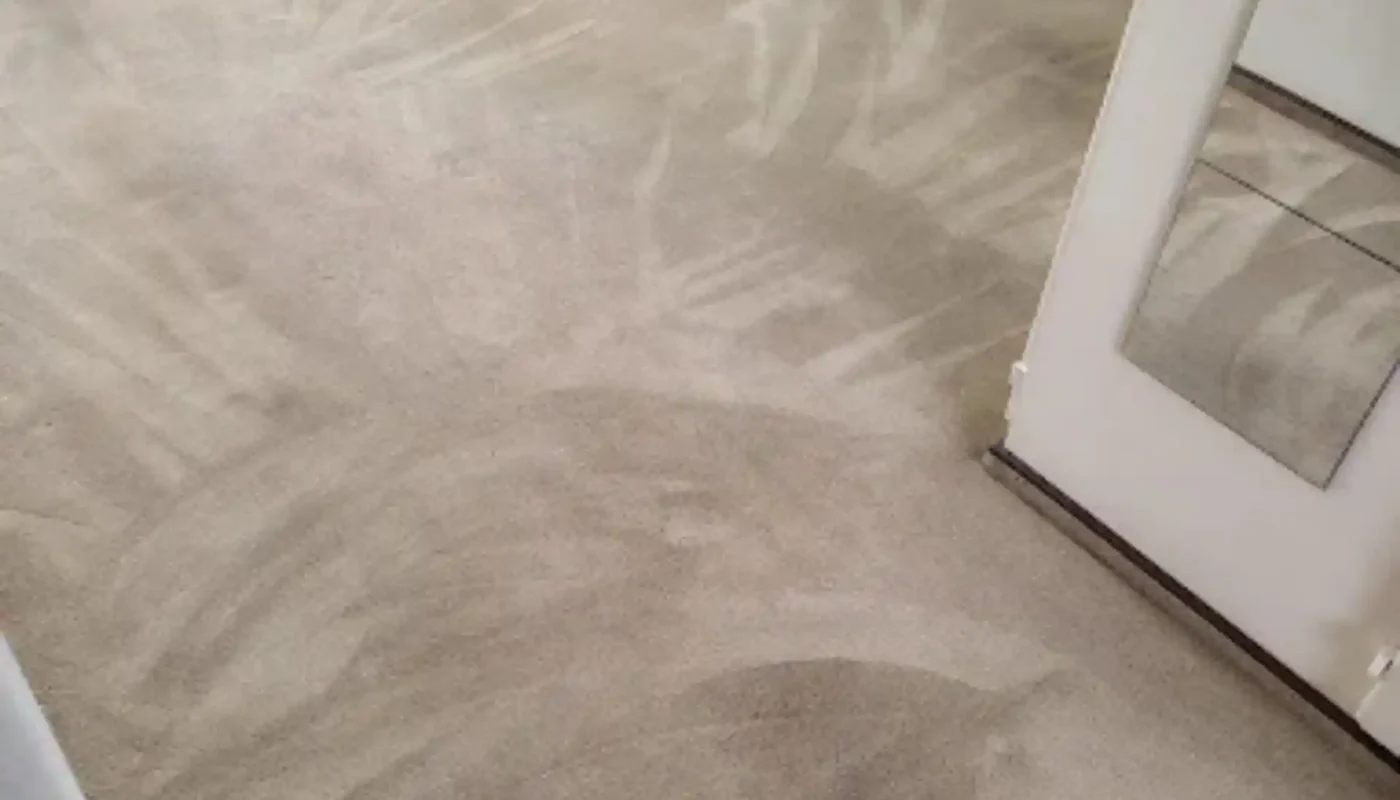 Professional fitted carpet cleaning in progress (78)
