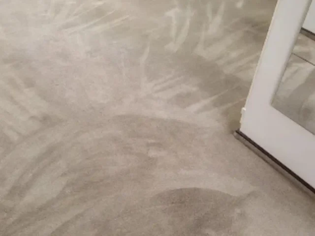 Professional fitted carpet cleaning in progress (78)