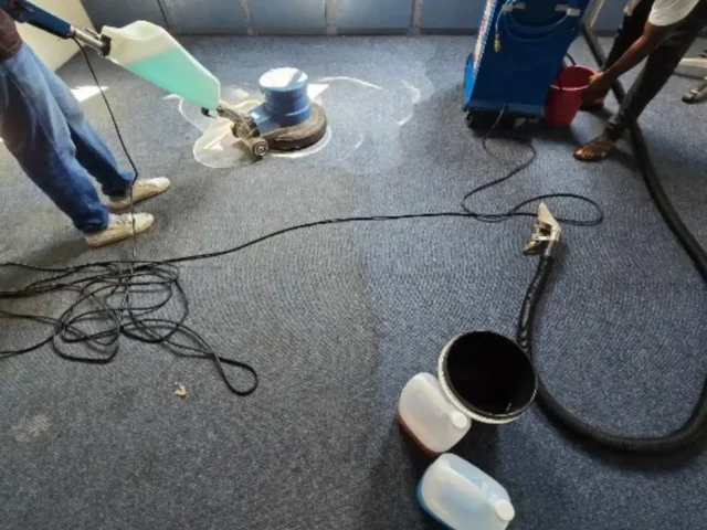 Fitted carpet deep cleaned by a Cape Town carpet cleaner (79)