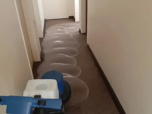 Fitted carpet professionally cleaned in a Cape Town hallway (82)