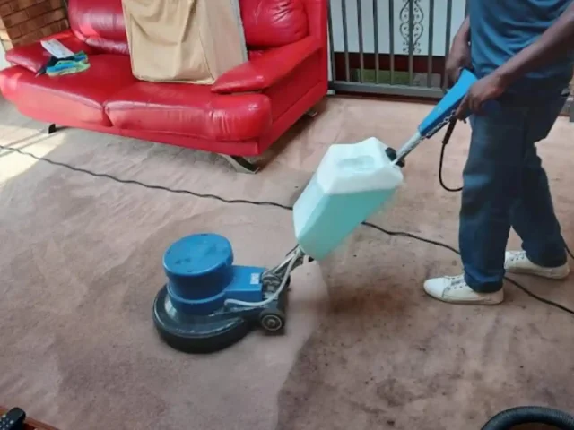 Fitted carpet professionally cleaned in a Cape Town home (83)