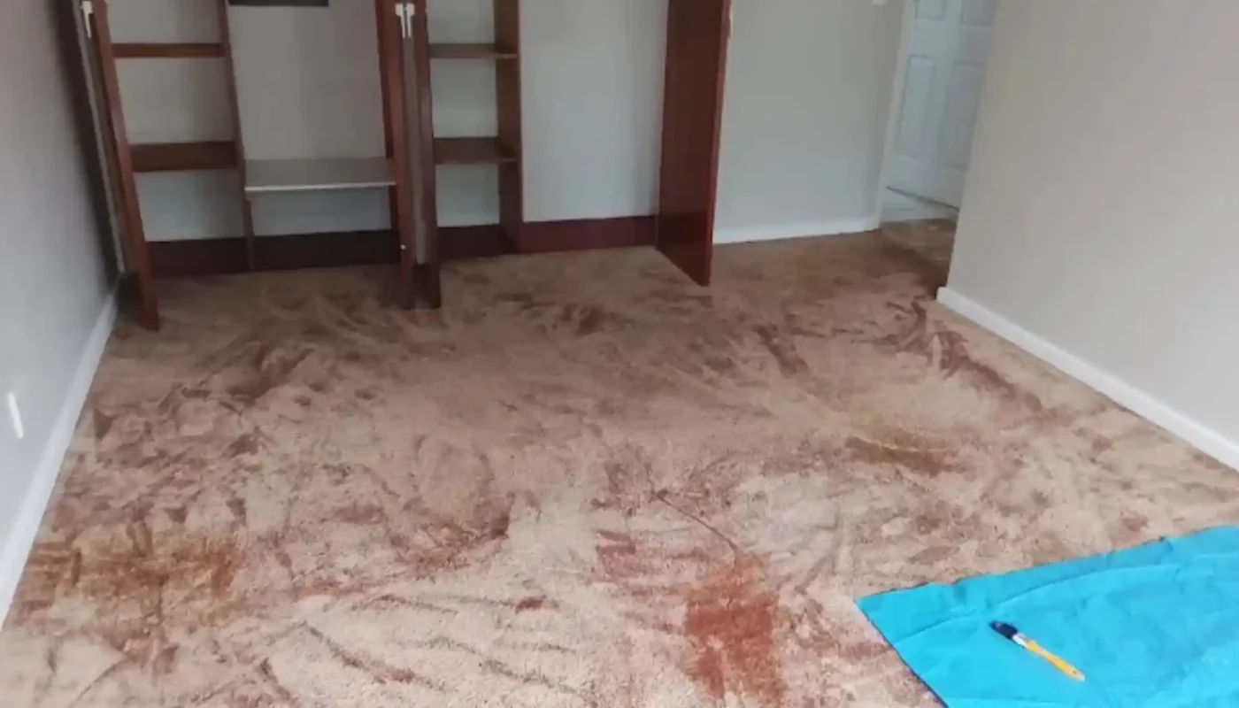 Warm-water extraction cleaning on a fitted carpet (84)