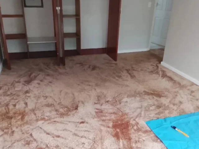 Warm-water extraction cleaning on a fitted carpet (84)