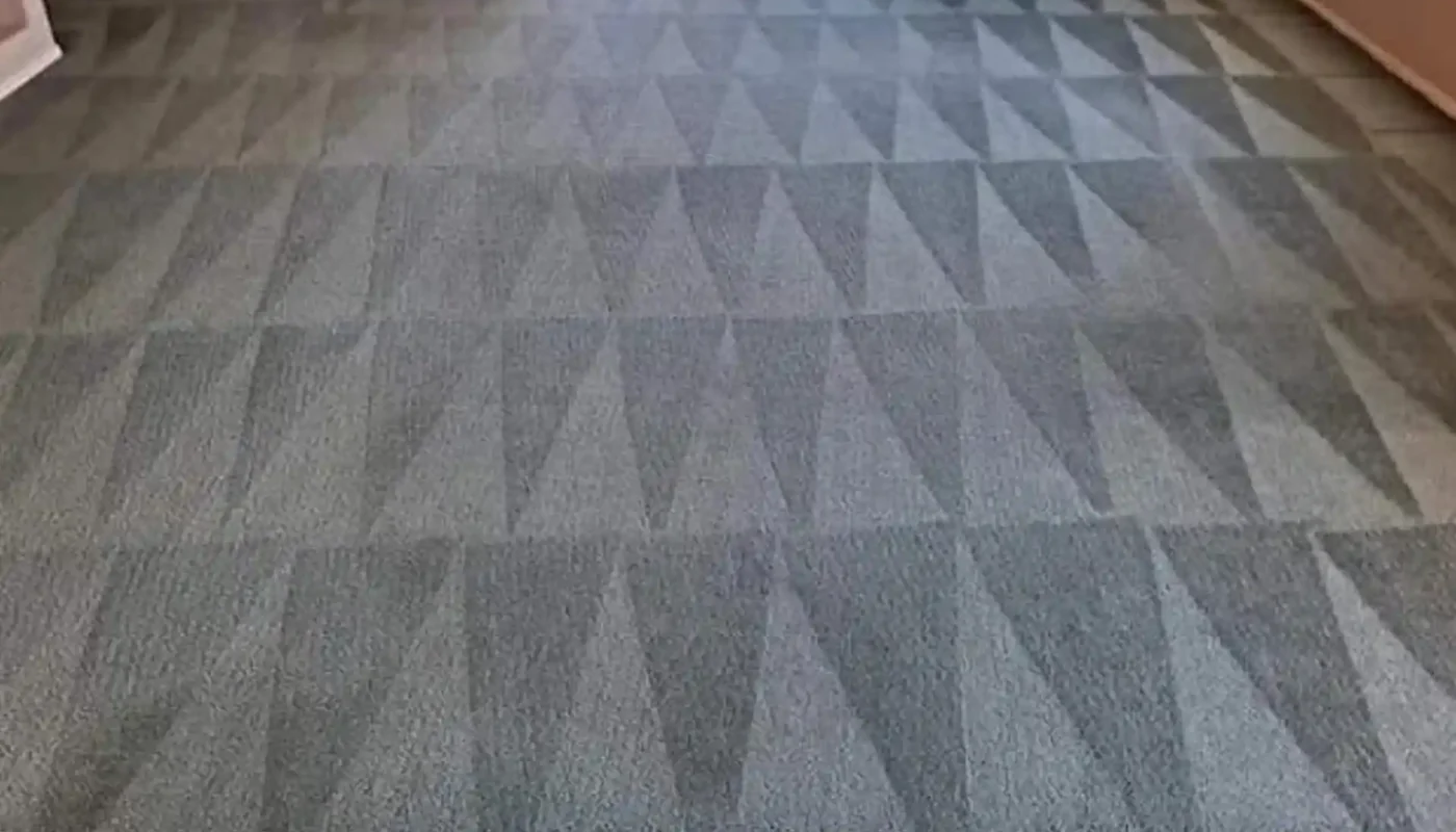 Professional fitted carpet cleaning in progress (86)