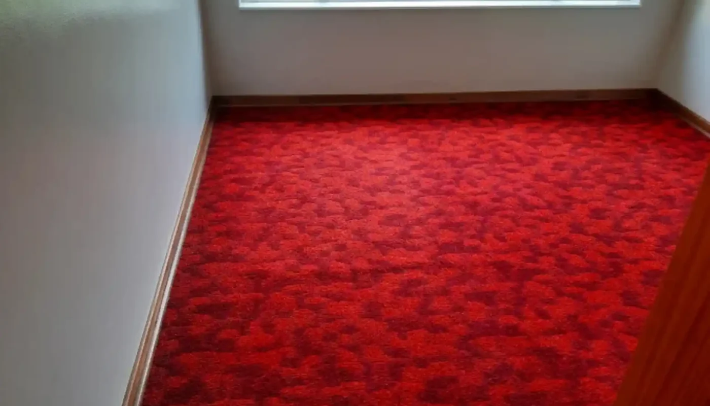 Fitted carpet deep cleaned by a Cape Town carpet cleaner (87)
