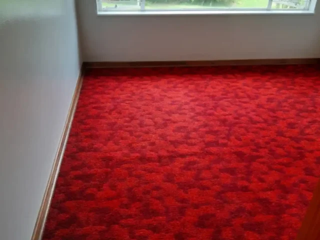 Fitted carpet deep cleaned by a Cape Town carpet cleaner (87)