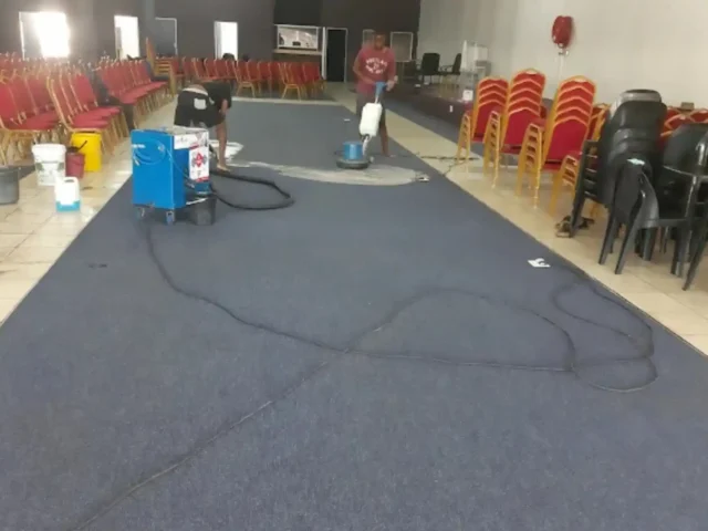 Fitted carpet cleaning in Southern Suburbs Cape Town