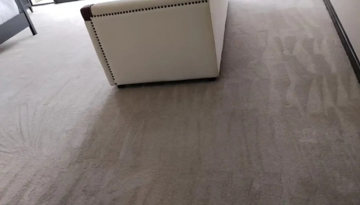 Fitted carpet cleaning in City Bowl