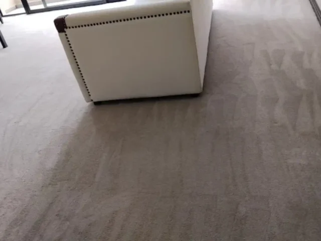 Fitted carpet cleaning in City Bowl
