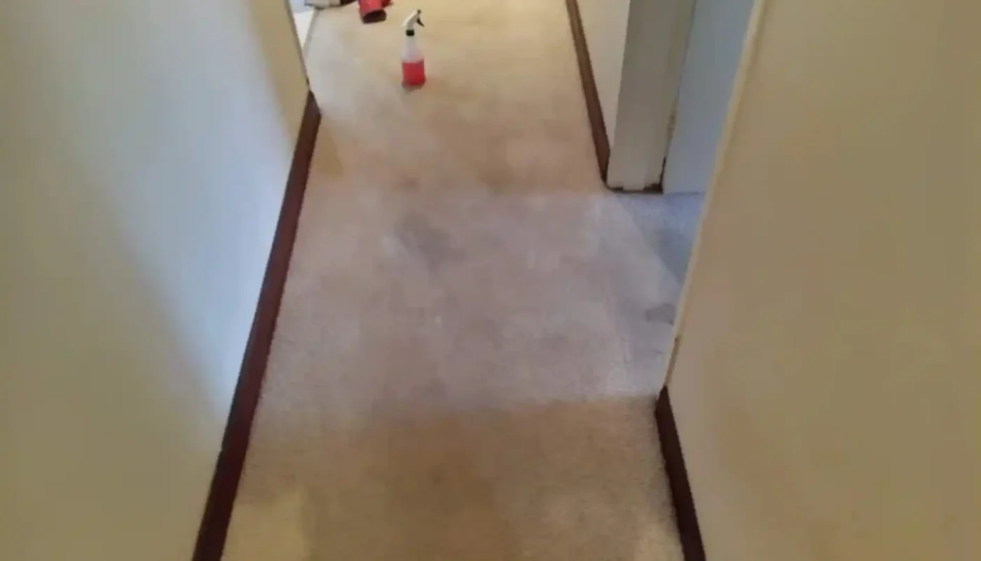Fitted carpet cleaning in Eastern Suburbs