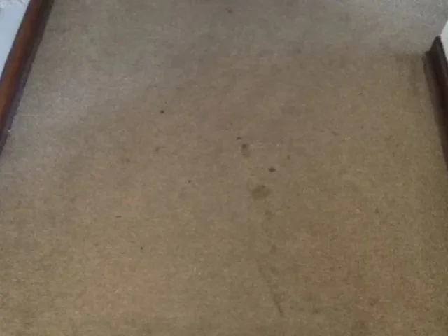 Fitted carpet before professional cleaning, showing soiling