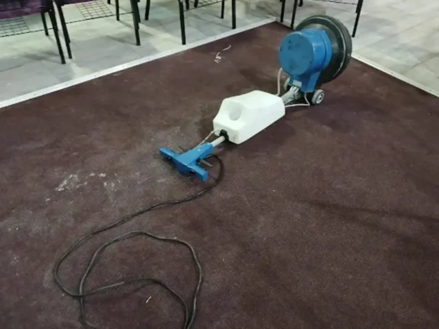 Fitted carpet before professional cleaning in a Cape Town home