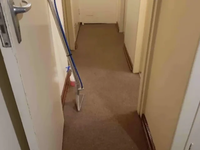 Residential fitted carpet cleaning in a Cape Town home