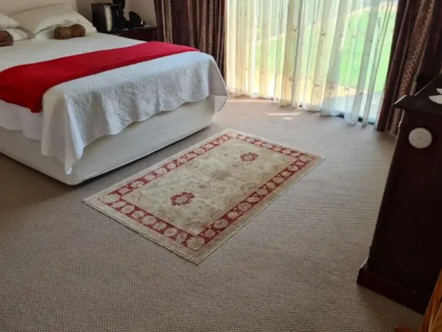 Fitted carpet and rug cleaned together in the same visit